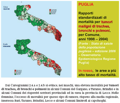 S. Minieri - DIMMI COSA DAI DA MANGIARE AGLI ANIMALI E TI DIRO' COSA  PRODUCI: LA RICERCA IN ALIMENTAZIONE PER LA QUALITA' DEI PRODOTTI